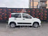 2019 Fiat Panda