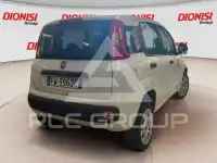 2019 Fiat Panda
