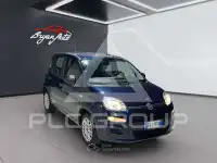 2019 Fiat Panda