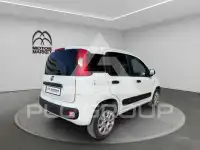 2019 Fiat Panda