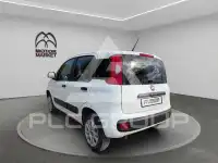 2019 Fiat Panda