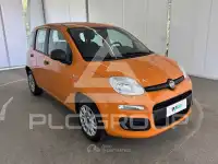 2019 Fiat Panda