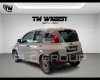 2019 Fiat Panda