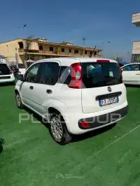 2019 Fiat Panda