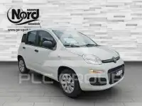 2019 Fiat Panda