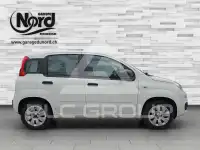 2019 Fiat Panda