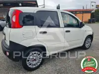 2019 Fiat Panda