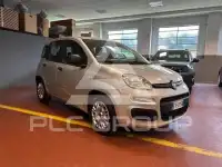 2019 Fiat Panda