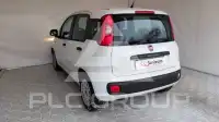2019 Fiat Panda