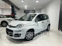 2019 Fiat Panda