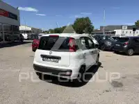 2019 Fiat Panda