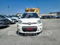 2019 Fiat Punto