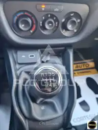 2019 Fiat Punto