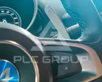 2019 Alpina A110