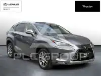 2019 Lexus NX