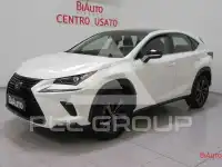 2019 Lexus NX