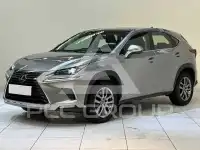 2019 Lexus NX