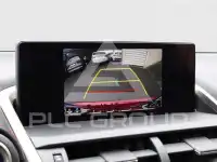 2019 Lexus NX