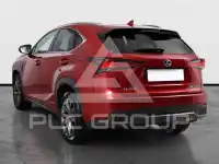 2019 Lexus NX