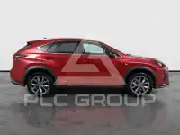 2019 Lexus NX