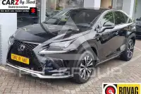 2019 Lexus NX