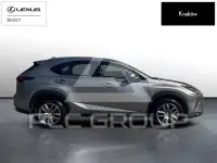 2019 Lexus NX