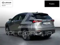 2019 Lexus NX