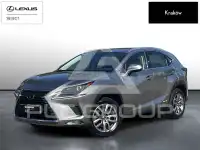 2019 Lexus NX