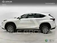 2019 Lexus NX