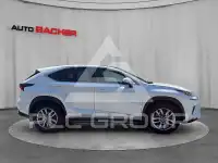 2019 Lexus NX