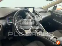 2019 Lexus NX