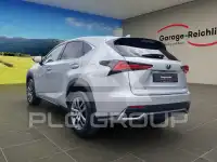 2019 Lexus NX