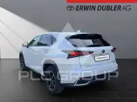 2019 Lexus NX