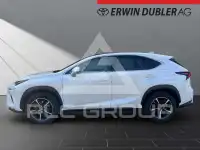 2019 Lexus NX
