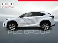 2019 Lexus NX
