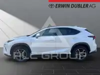 2019 Lexus NX