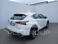 2019 Lexus NX