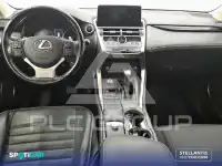 2019 Lexus NX