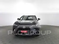 2019 Lexus NX
