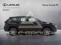 2019 Lexus NX