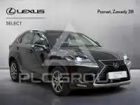 2019 Lexus NX