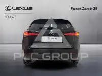 2019 Lexus NX