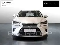 2019 Lexus NX