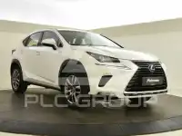 2019 Lexus NX
