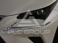 2019 Lexus NX