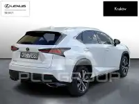 2019 Lexus NX