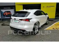 2019 Lexus NX