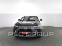 2019 Lexus NX