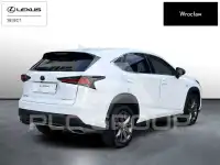 2019 Lexus NX