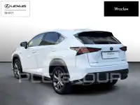 2019 Lexus NX